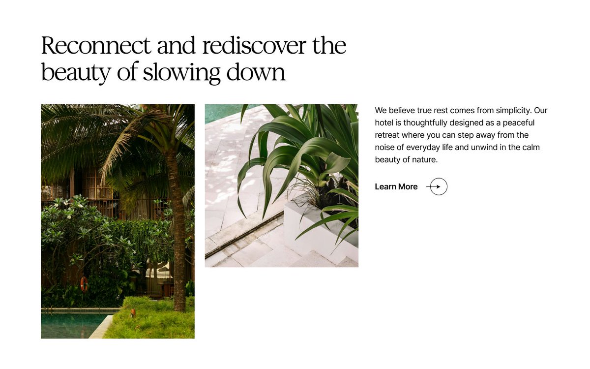 Ryan | SaaS Designer tweet media