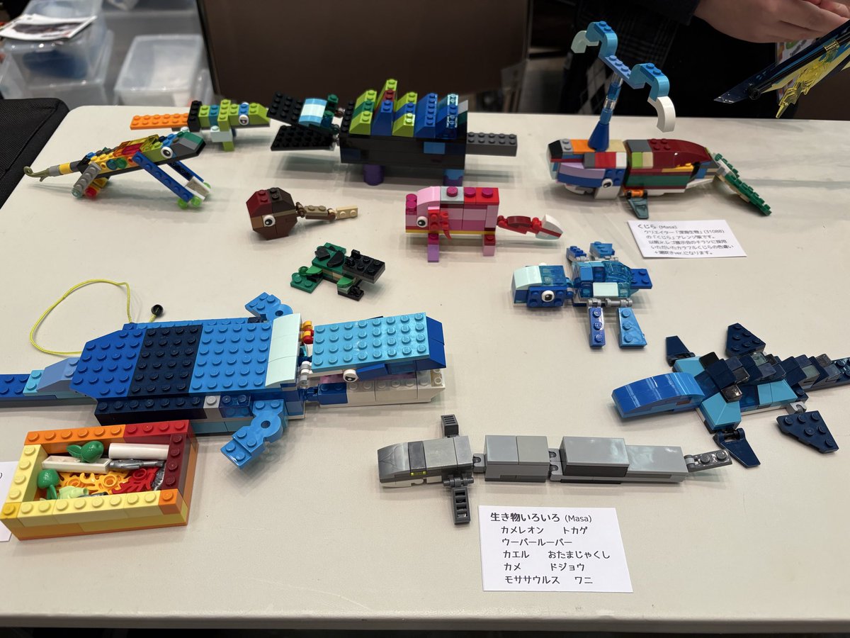 tomoma-rider tweet media