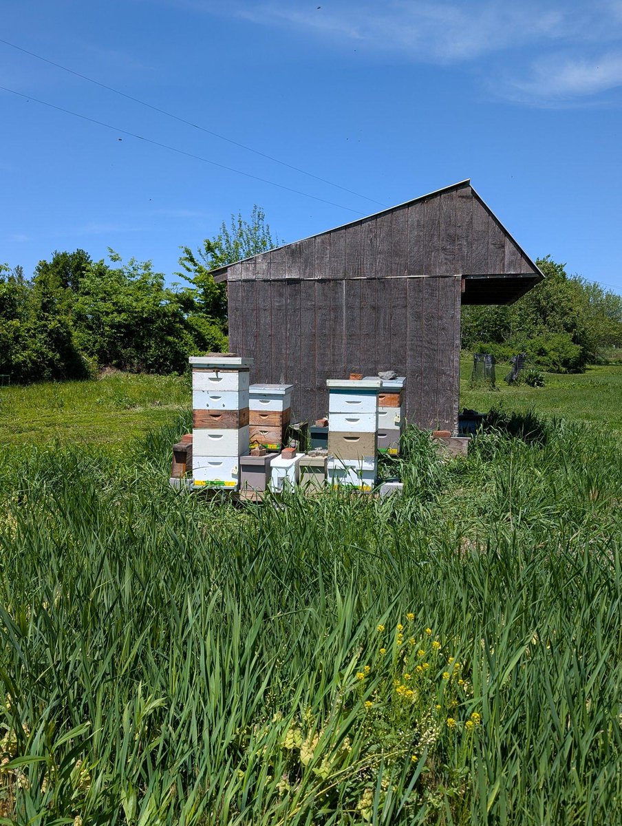 Patrick Heizer tweet media