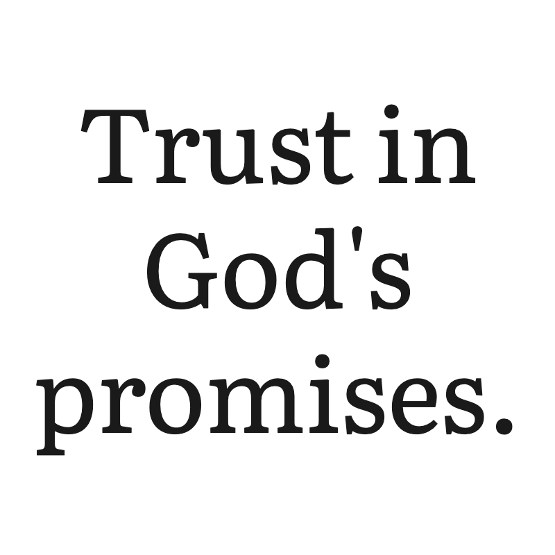 Christ is King tweet media