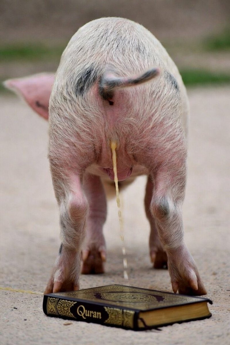 Muslim &amp; Somali communities are asking people to stop posting images or comments about bacon, pork or sausage under social media posts about Muslims &amp; Somalis.
They do not want to see those words anywhere on social media.