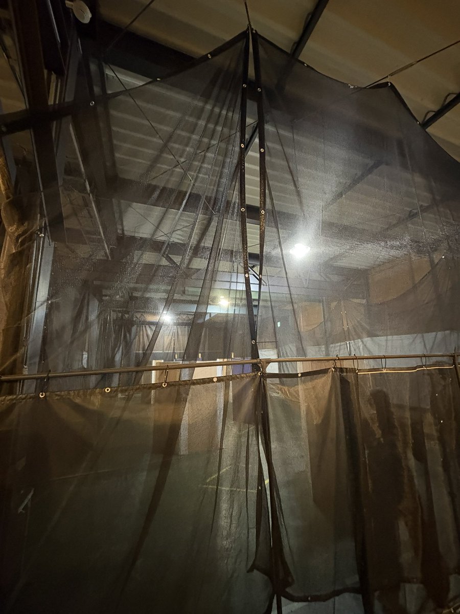 ホネ_YT🔰 tweet media