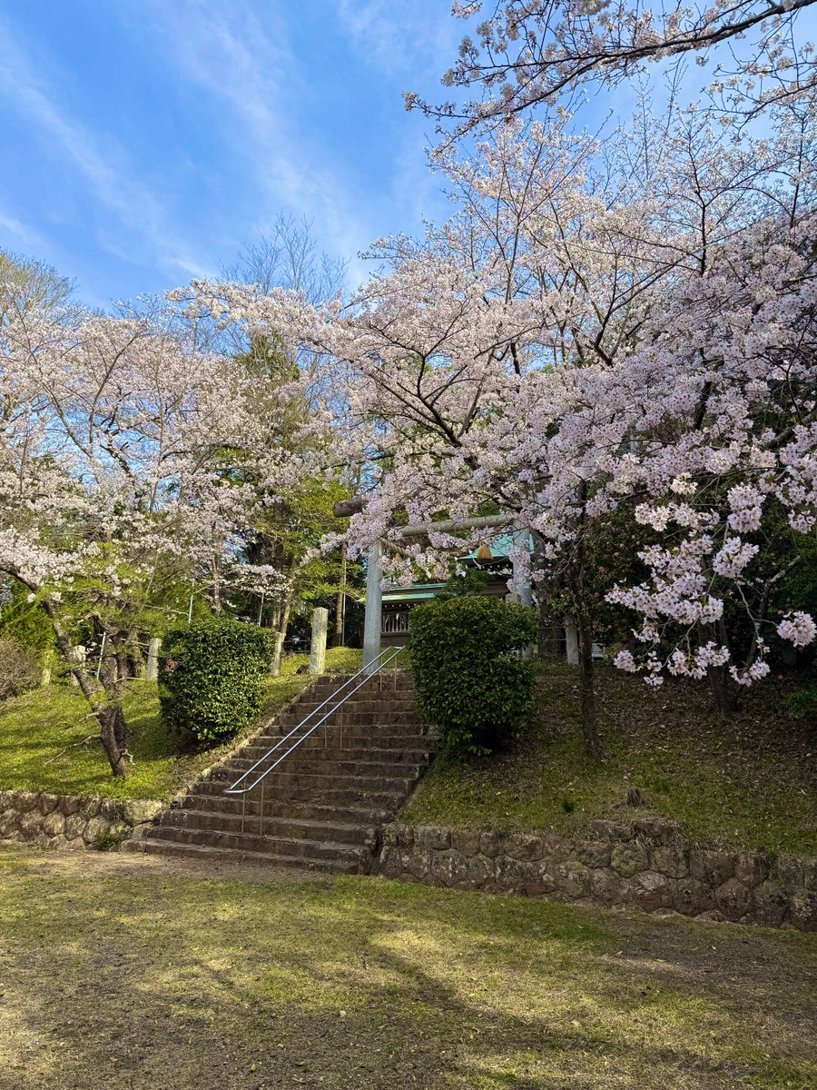 コスプレフロンティア公式 tweet media