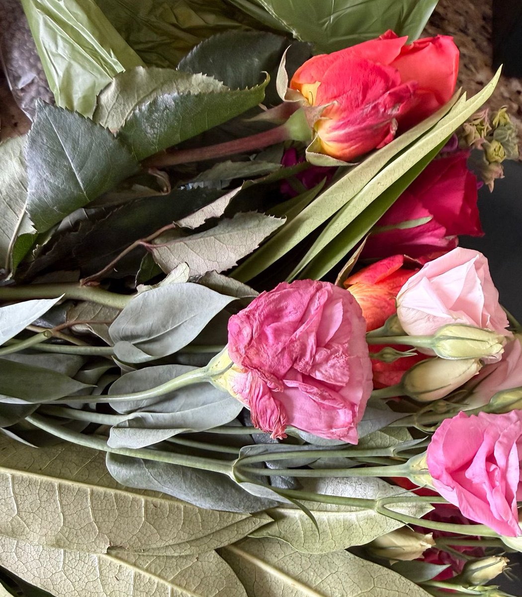 Kevin Edger tweet media