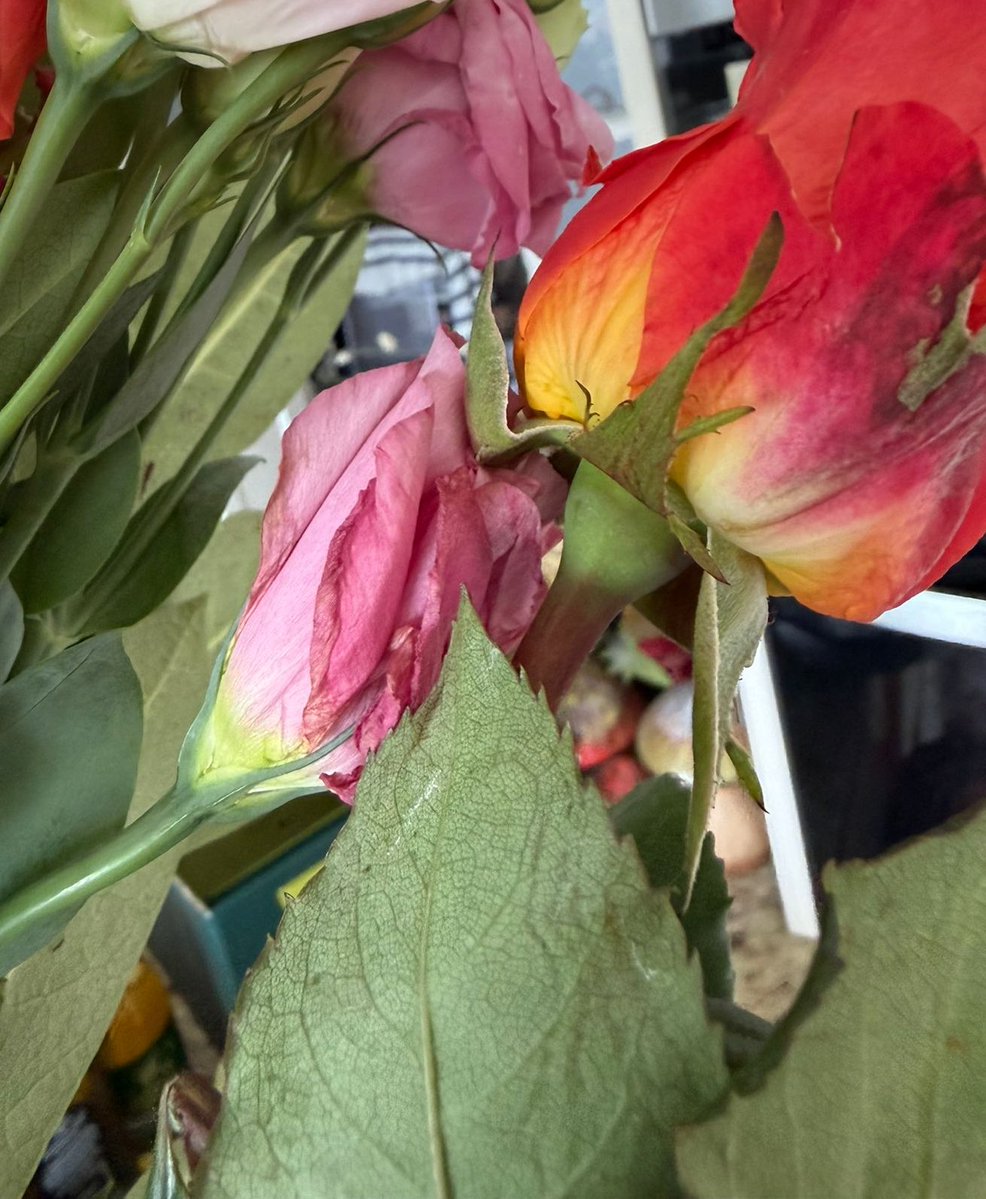 Kevin Edger tweet media