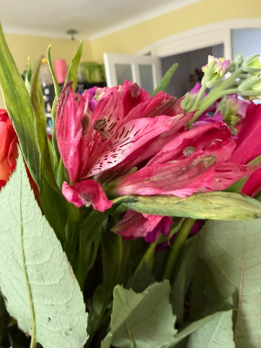 Kevin Edger tweet media