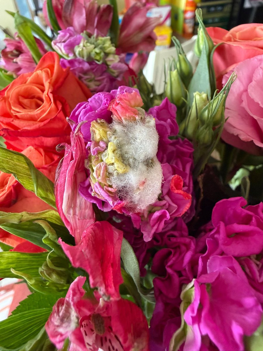 Kevin Edger tweet media