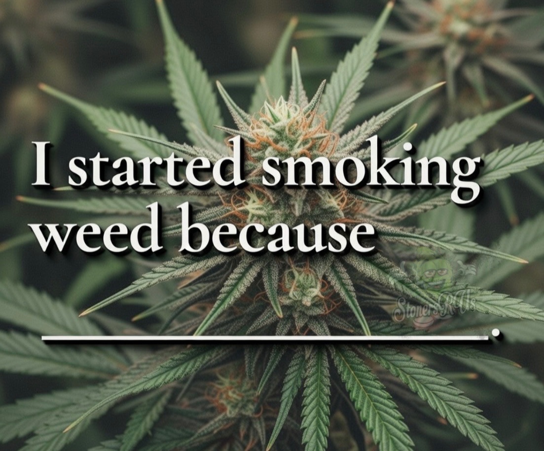 STONERS R US 🍃 tweet media