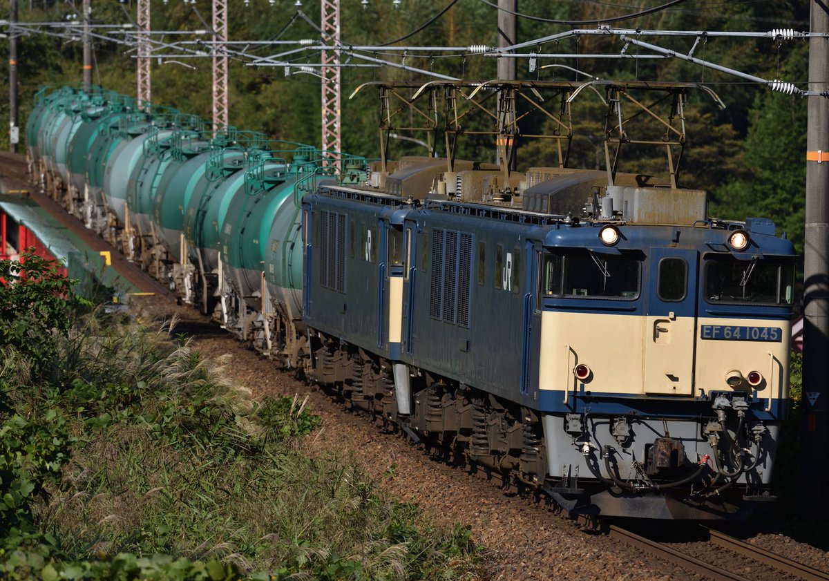 あぐかま tweet media