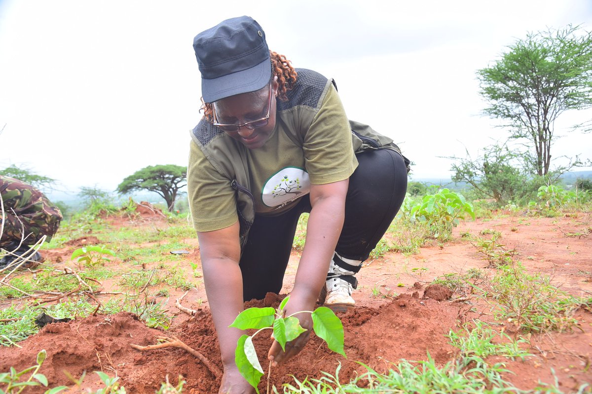 We must upscale conservation of our forests and #stopdeforestation