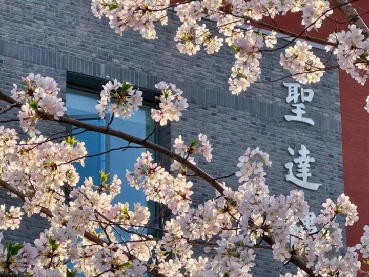 JiangsuNow tweet media