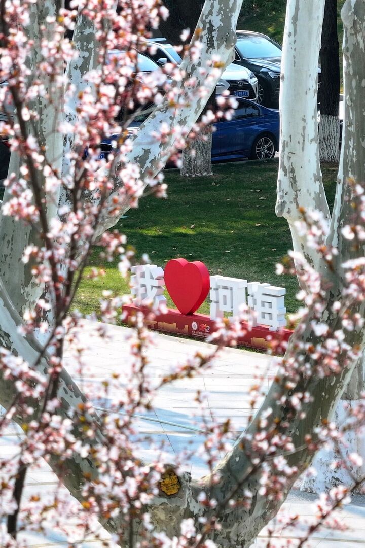 JiangsuNow tweet media