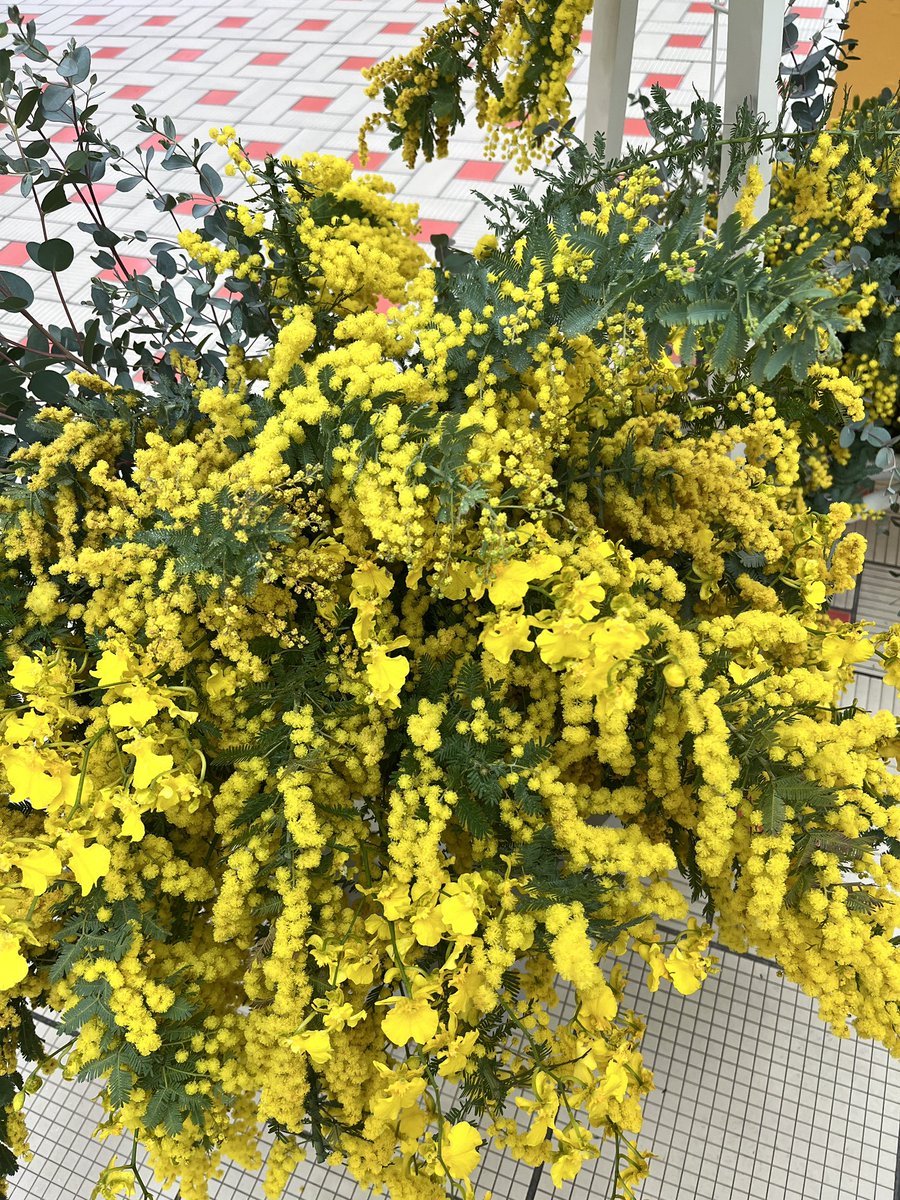 いろあそび つまみ花 tweet media