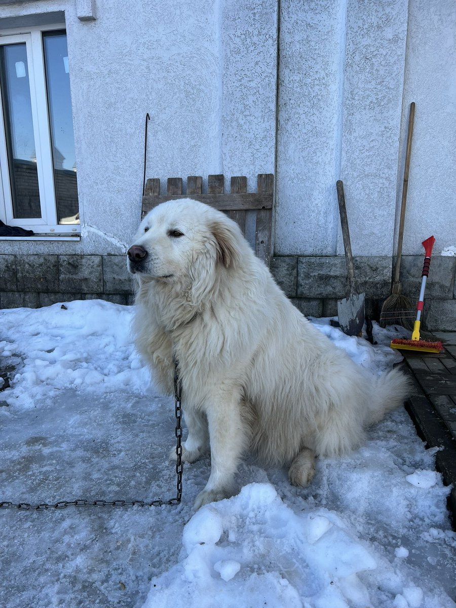 актёр бубнежа tweet media