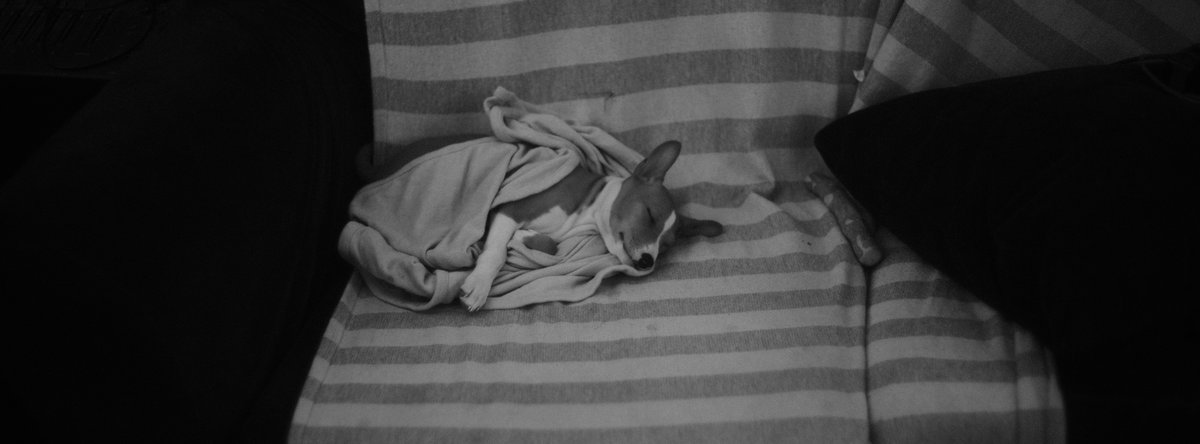 Use More Paper tweet media