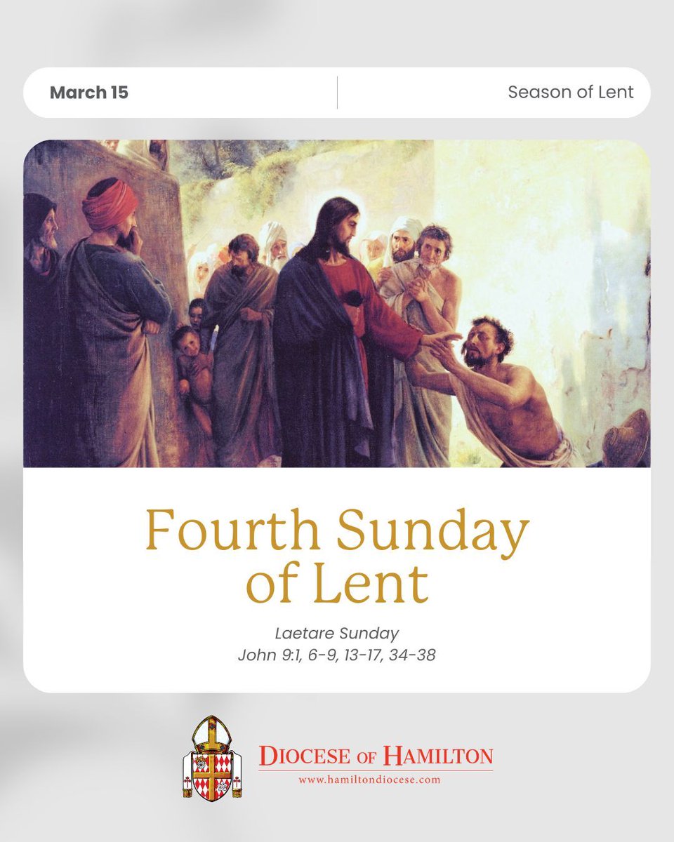 Diocese of Hamilton tweet media