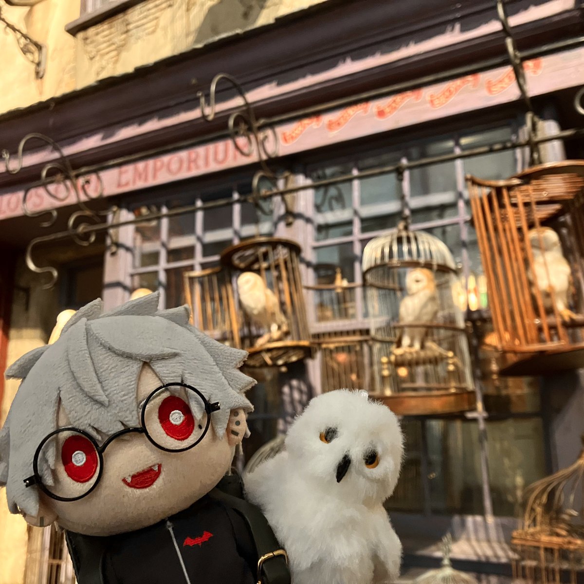 nui_vamp's tweet photo. まずはお買いもの🪄︎︎📕🦉

 #にじぬい 
 #にじぬいが見られるタグ https://t.co/s4VryiAJCn
