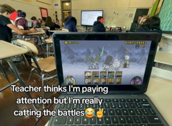 No Context Battle Cats tweet media