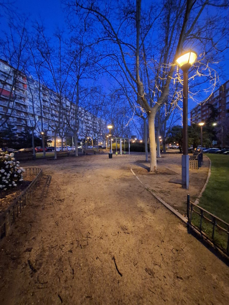 Raquel Rodríguez tweet media