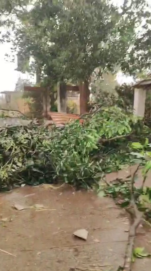 #Odisha I Karanjia block in Mayurbhanj district has been severely hit by a storm with heavy hail and strong winds. Over 50 people injured, several houses blown away, and electric poles collapsed. Villages including Dumuria, Kankada, Kia Panposi, Kia, and Mata are among the worst