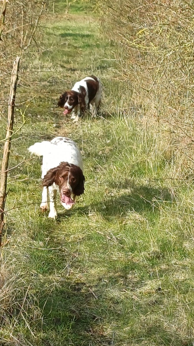 #TeamGunner tweet media