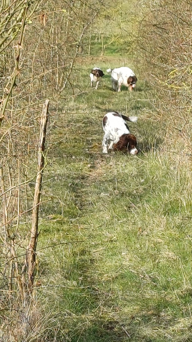 #TeamGunner tweet media