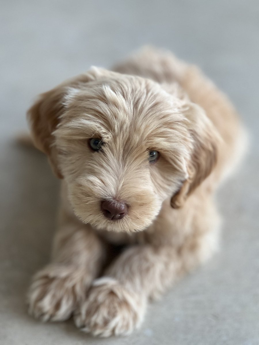 KJ Crypto tweet media