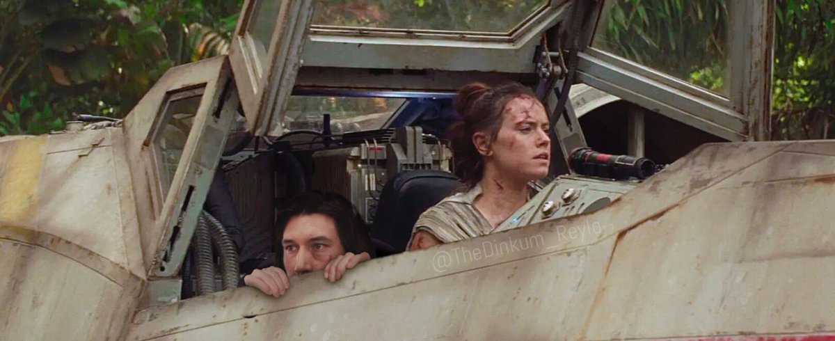 Kate 🦐 tweet media