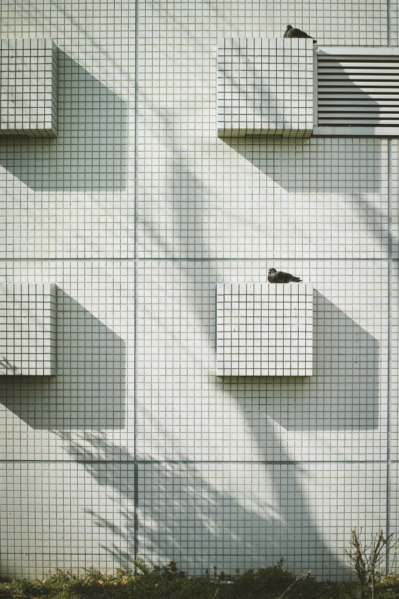 𝙣𝙖 tweet media