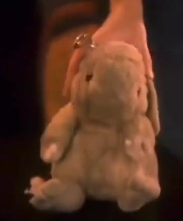 CharmedOGForever🔮🧙🏼‍♀️ tweet media