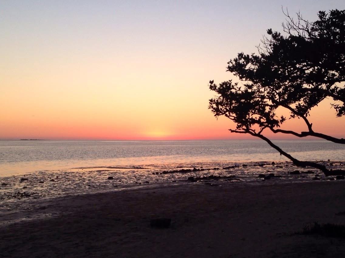 Kristen 🇺🇸 tweet media