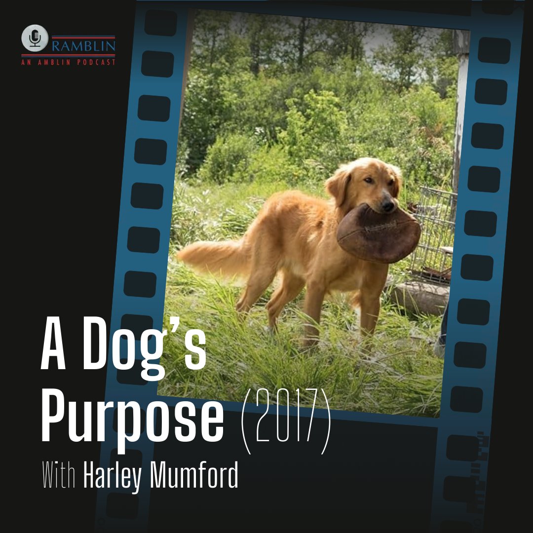 Ramblin: An Amblin Podcast tweet media