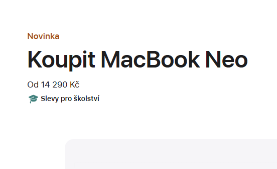 Martin Wolker 🪂 tweet media