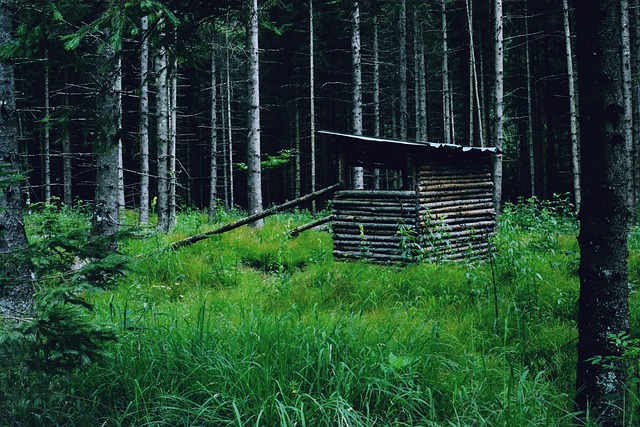 Osiris Ritter tweet media