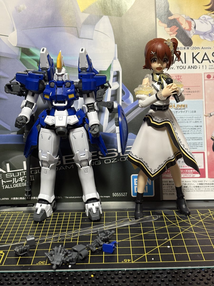 今日の成果
RG トールギスⅡと30MSみらいちゃ
トールギスⅡはRGの割に組み易い。MSジョイントがちょうど良い塩梅
未来はミリオンの20th以上って思ってたより765ASと違うんだなって