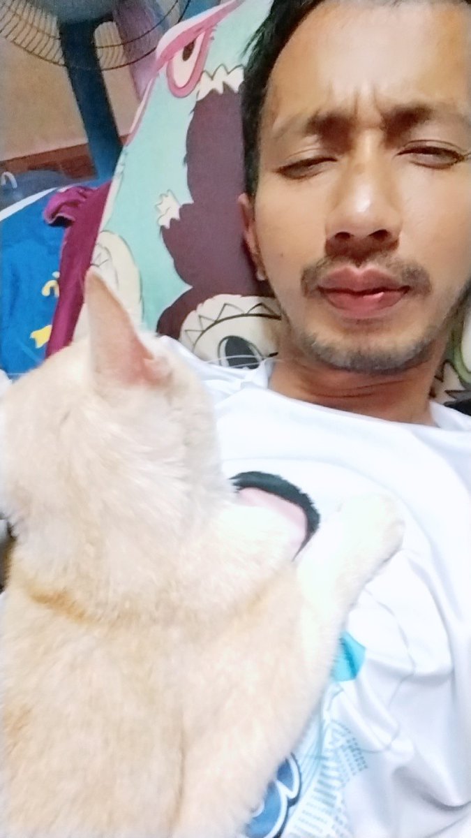 แซมคับ tweet media