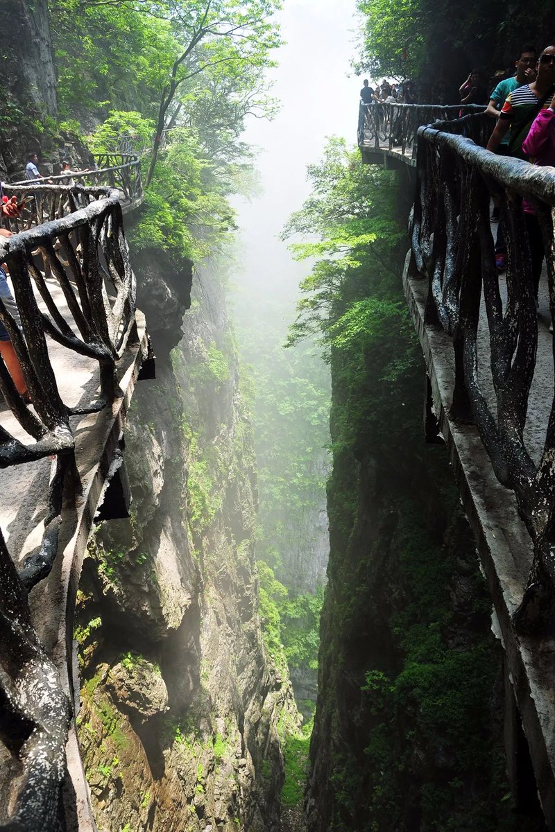 Rahul Desai tweet media