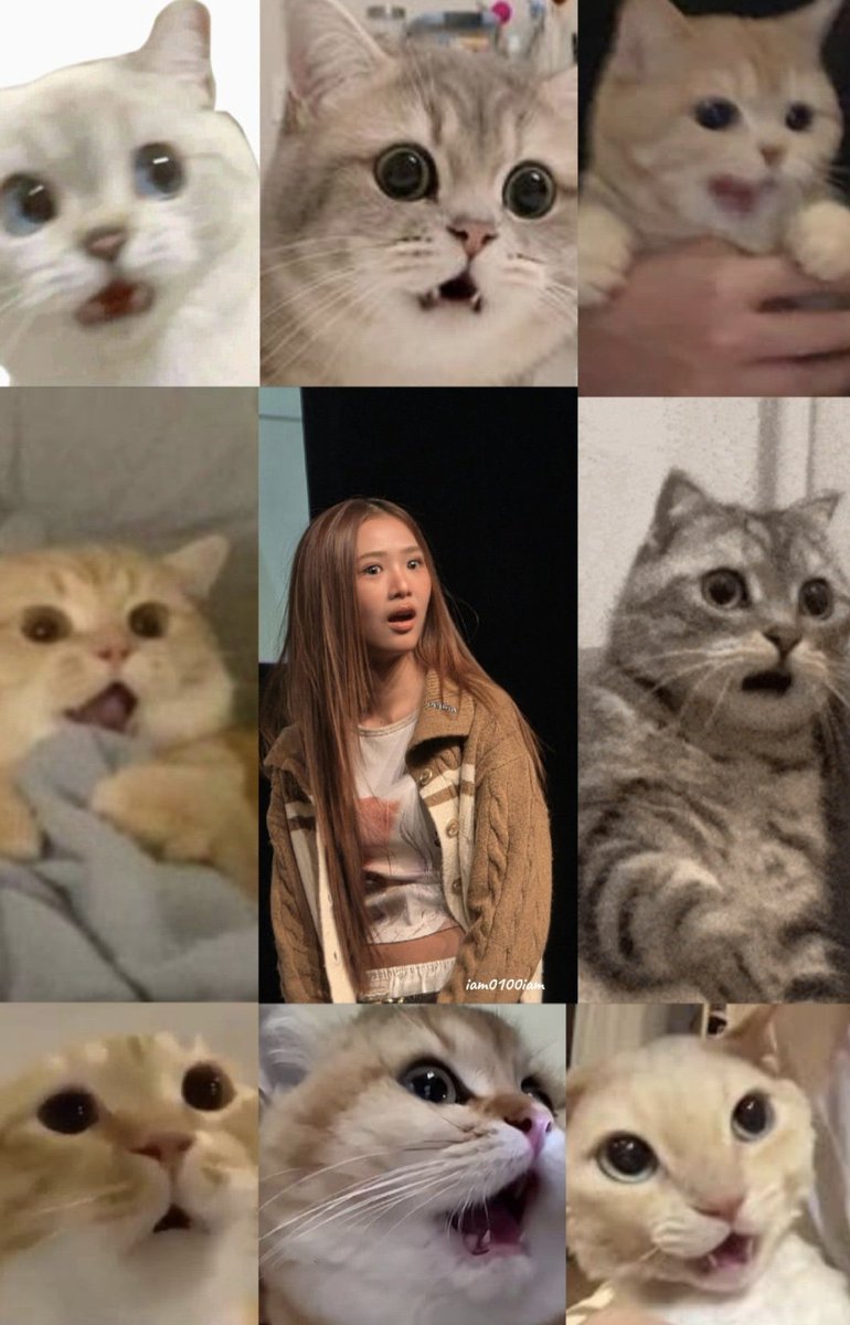 The contrast between them 🤣

NAMTANFILM IN OSAKA 
#NFFANDAY30XOSAKA