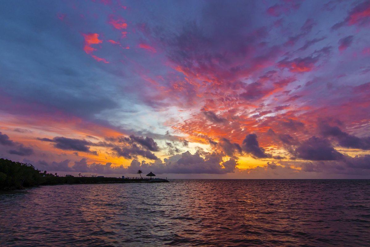 Branch Floridian tweet media