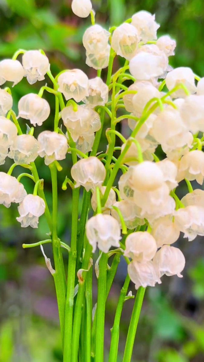 tim nolan tweet media