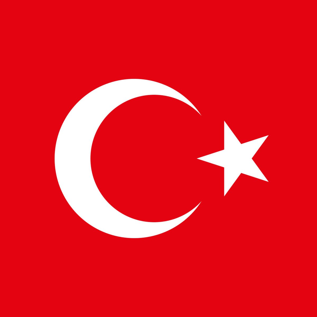 🇹🇷 Feza ASAN 🇹🇷 tweet media