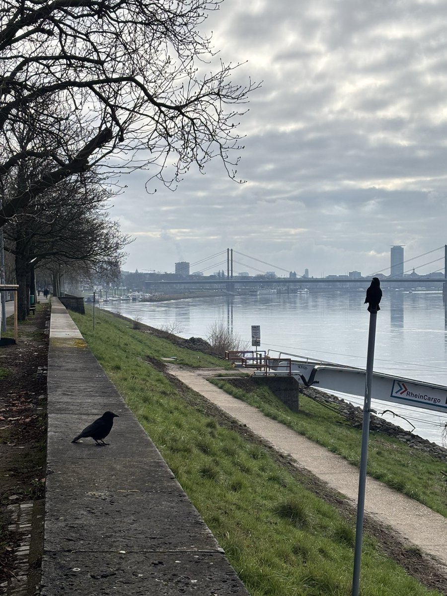 Patchy 🇿🇦🇩🇪 tweet media