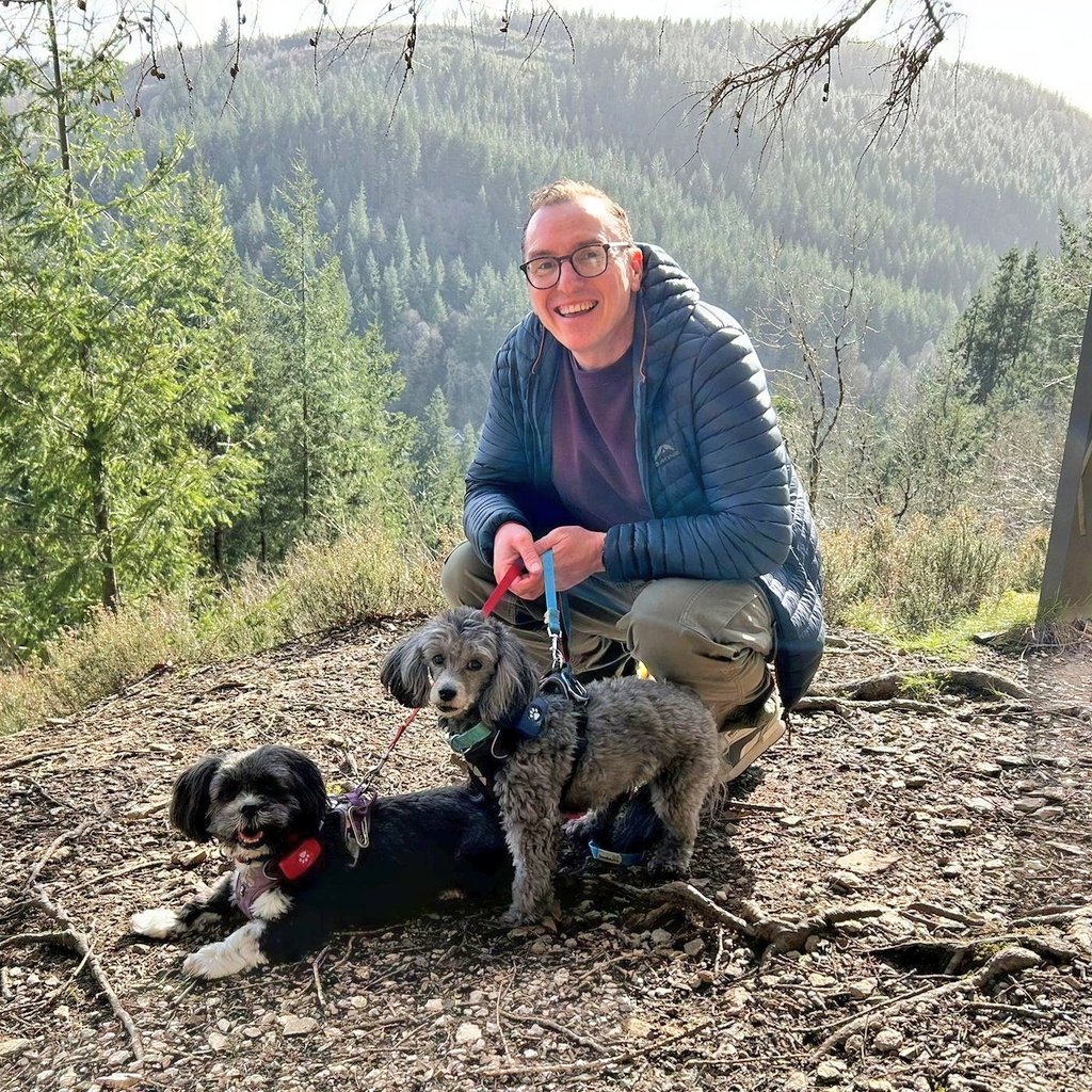 Dylan 🐦 tweet media