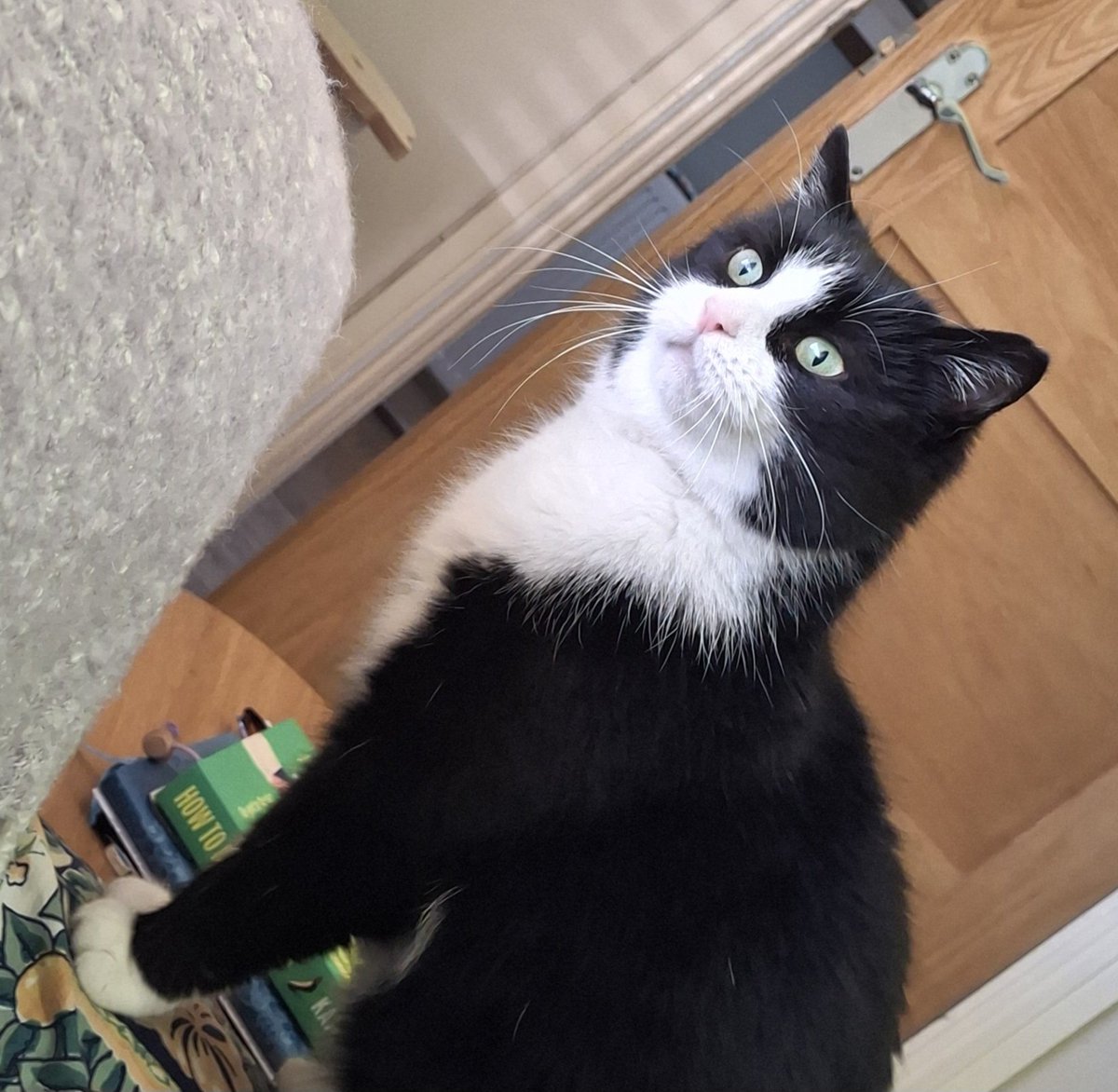 Janice Wright tweet media