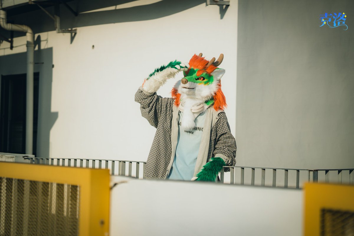 Cold（克洛） tweet media