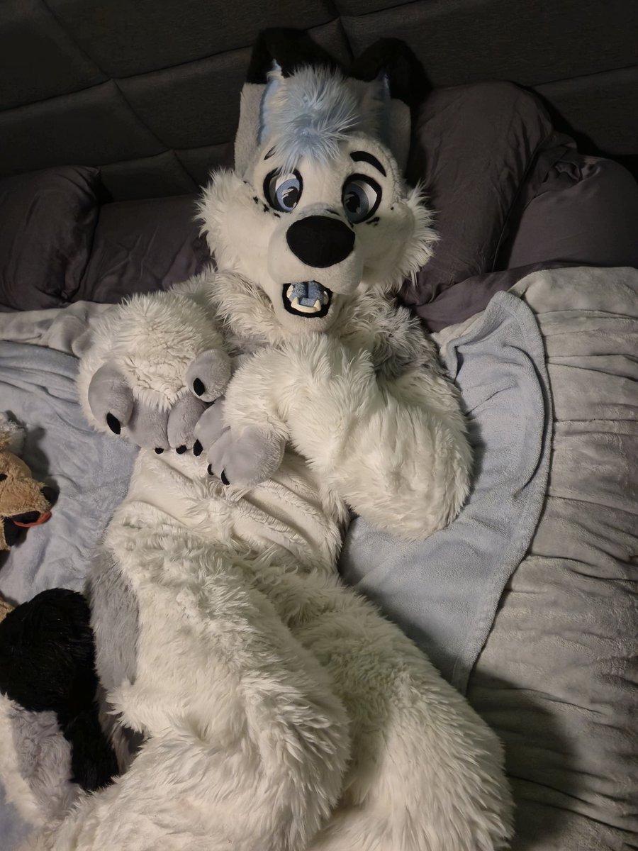 Eager to be fluffy for friends 💙 

📷 <a href="/NabiWolfy/">Nabi Wolfy 💙💜</a>