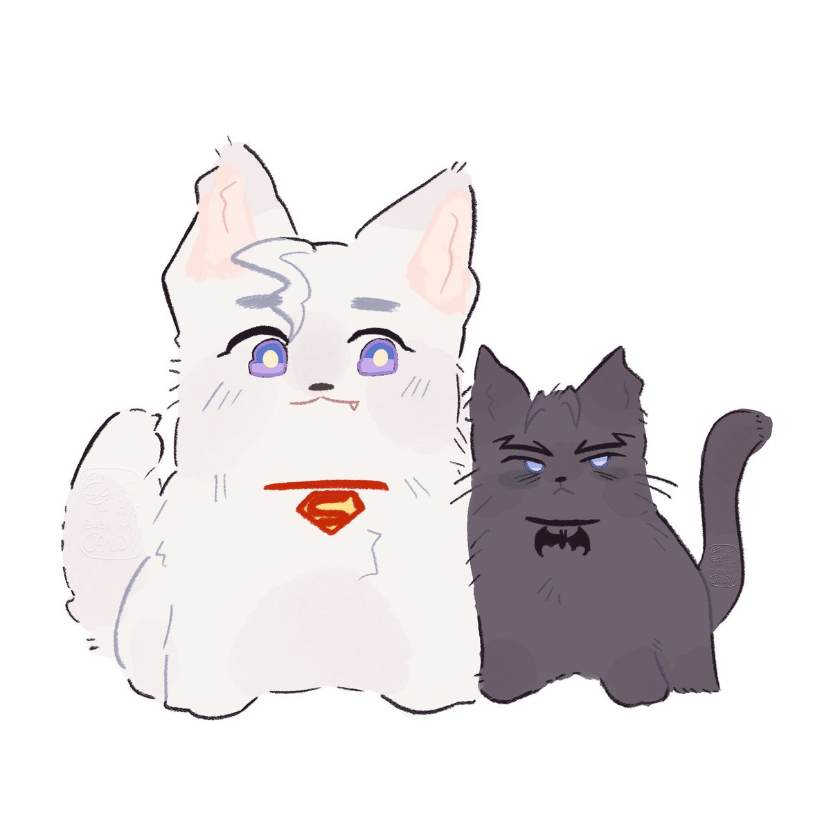 #superbat superwoof and nyawman