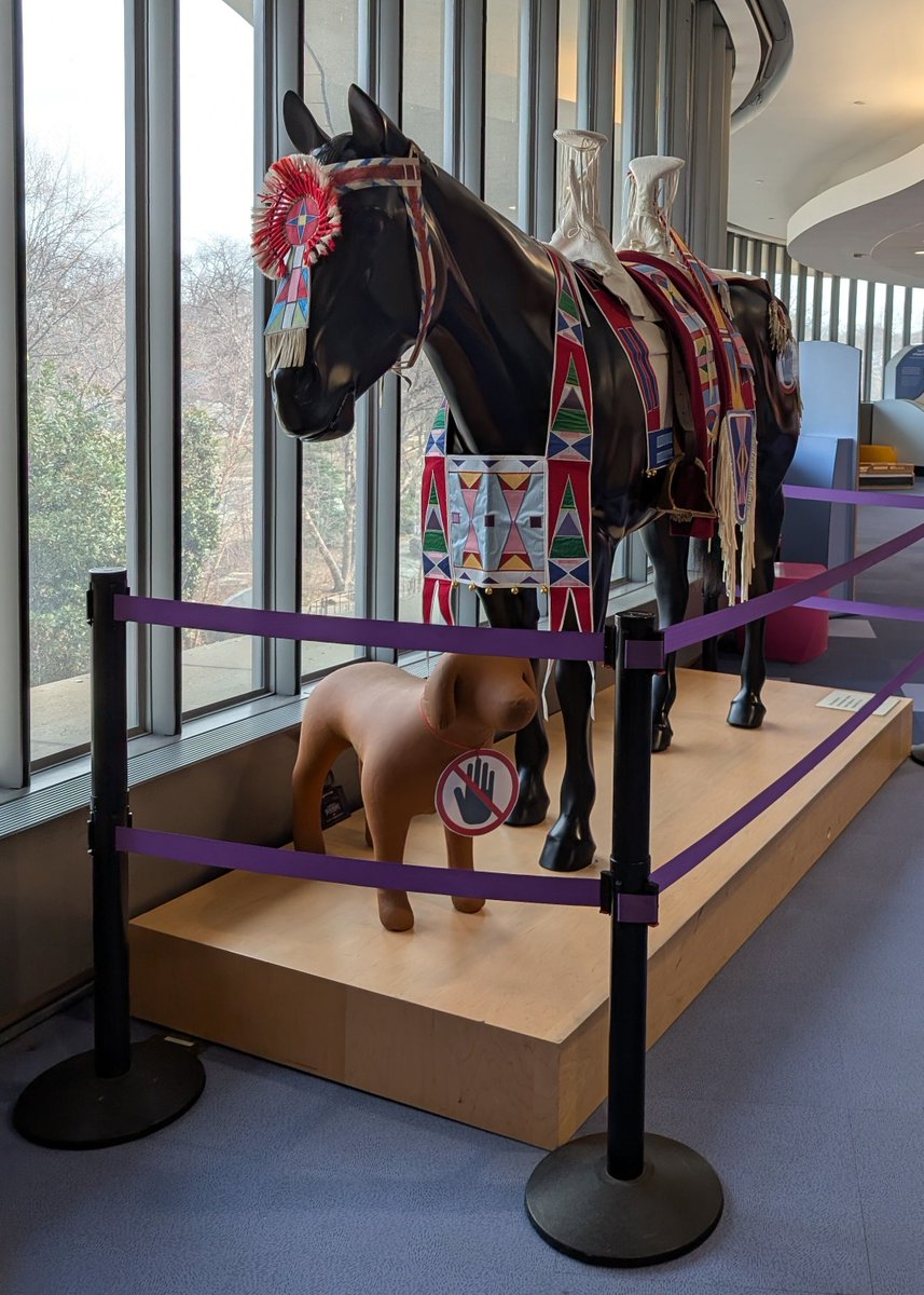 Intrepid Pup tweet media