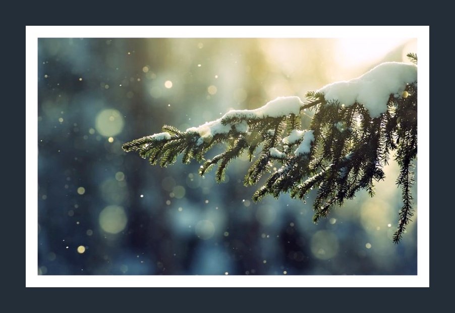 💜 Franco 💜 tweet media