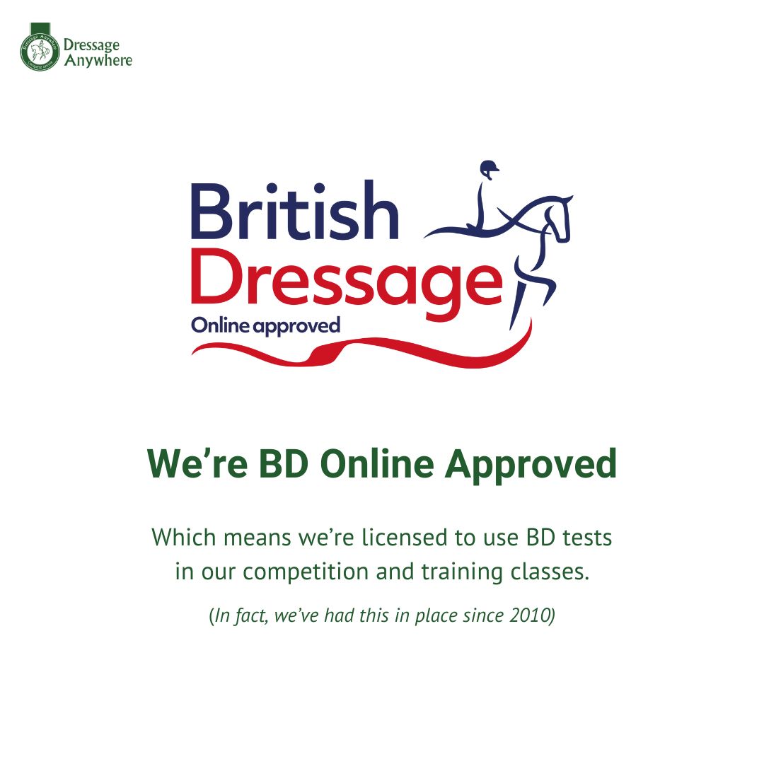 Dressage Anywhere tweet media